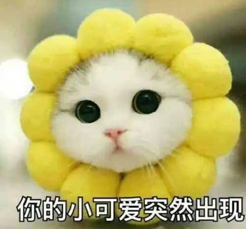 再上5天班,太原人集体放假还有一大波免费补贴消息等着你
