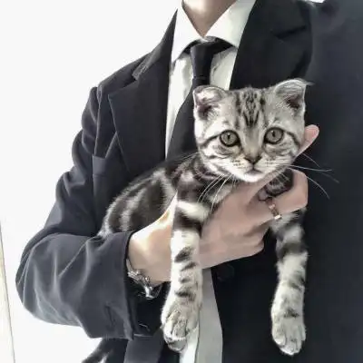 暖男头像真人帅气