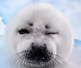 从校园到婚纱,从咱俩到咱仨,让这对在毕业季牵手的恋人告诉你,爱对了人有多幸福搜狐
