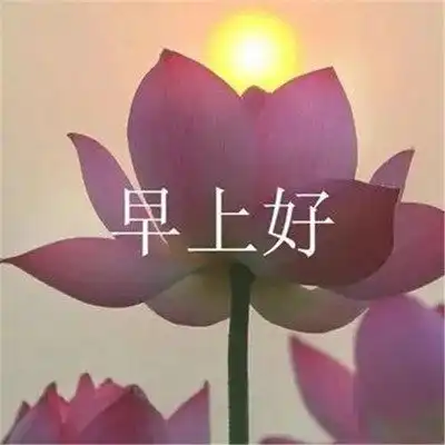 2023最新早晨好早上好漂亮问候祝福图片头像
