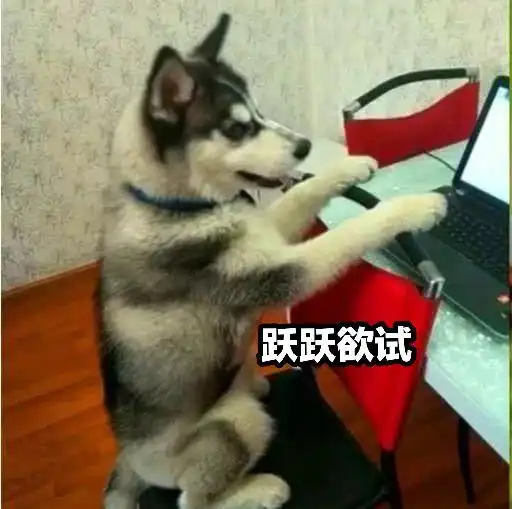 男子挂机上厕所,哈士奇趁机接管游戏,网友原来真有挂机狗
