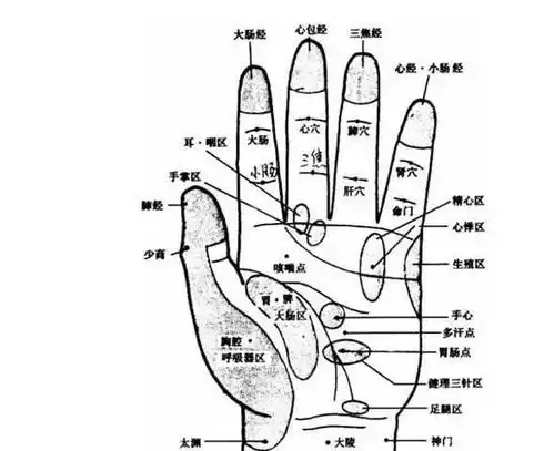 按摩小拇指这个穴位,预防白内障,还能补肾消除白发,收藏吧治疗
