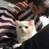 韩国男生qq头像超帅暖男2017我配不上这么帅的男朋友
