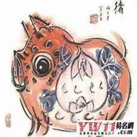 2018年属猪微信旺运头像微信头像图片大全
