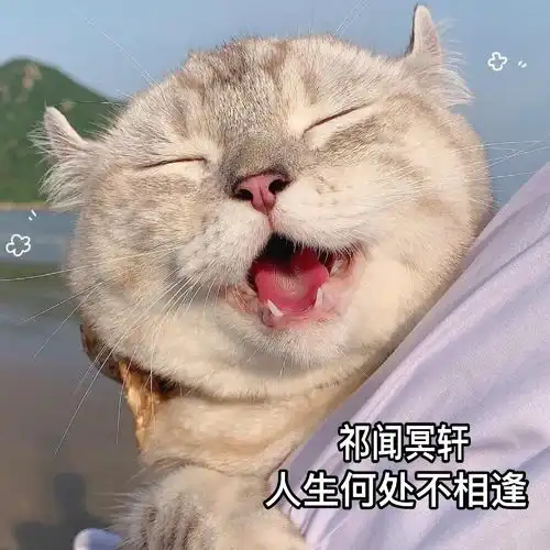 天下有情人咚鼓版祁闻冥轩高音质在线试听天下有情人咚鼓版歌词歌曲下载酷狗音乐
