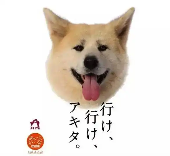 走破日本2018年9月16日秋田县田泽湖马拉松最后1周报名
