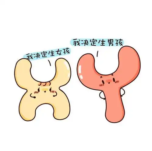 为啥有的人总是生儿子,有的人总是生女儿与什么因素有关
