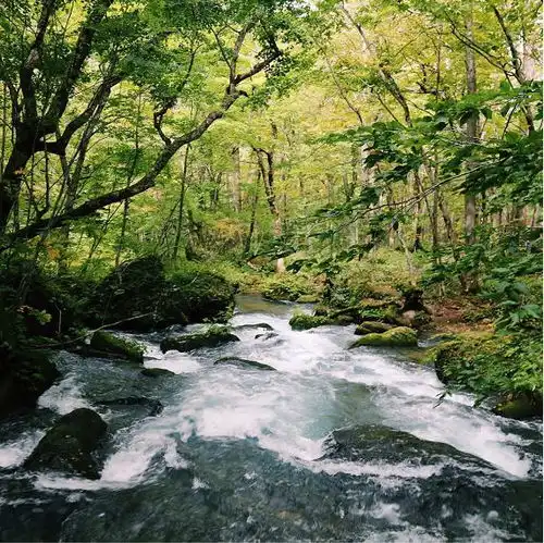 刷遍朋友圈,你的青蛙到底去哪里旅行了
