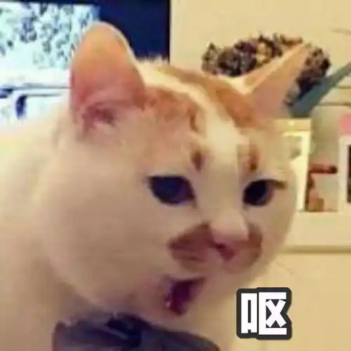 今日神段丨这届直男被尬撩套路毁了,一张嘴就想给他们贴封条

