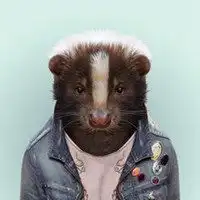 摄影师头像个性单反摄影师艺术头像图片
