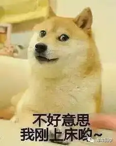 你的头像暴露了心理年龄小学初中高中大学你在哪一类