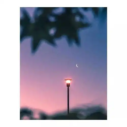 既然没有如愿
