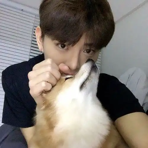 头像男抱猫男人