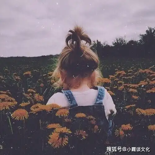 一句话伤感心情句子,心酸催泪,从头哭到尾
