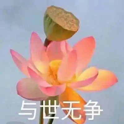 君兮染安度晚年
