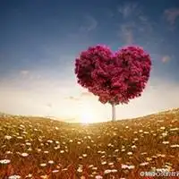 微信头像手捧玫瑰花微信头像图片大全
