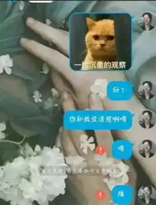 一个情侣之间,毫无求生欲的套路游戏,给对象发句我们分手吧
