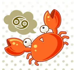 十二星座都喜欢吃什么馅的粽子
