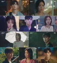 我的id是江南美人第12集创自身收视新高车银优郭东延两大美男告白林秀香均遭拒绝
