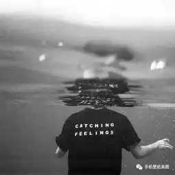 个性网qq头像,今日份头像请查收
