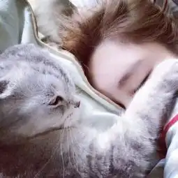 求一张类似的女生和猫的头像,谢谢了
