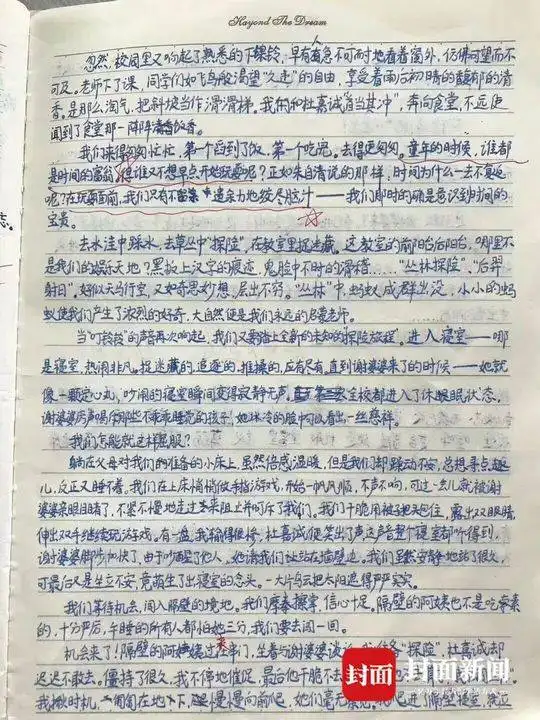 11岁小学生写回忆录致童年永远年轻永远热泪盈眶
