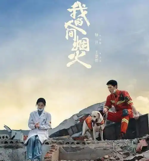 杨洋快被骂到退圈了
