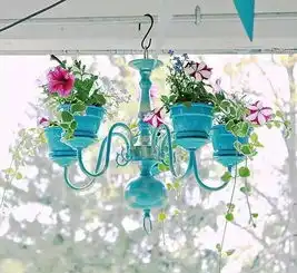 这些东西居然可以当花盆,太美了
