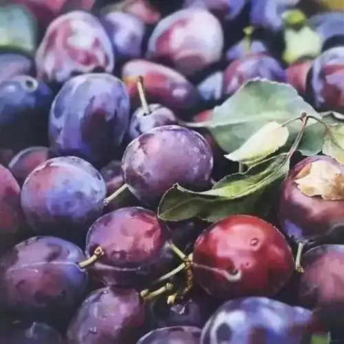 原来色彩单体是这么画的,终于找到秘籍了西红柿
