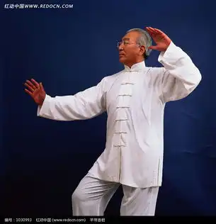 打太极拳的老年人图片
