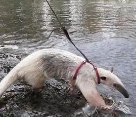 千奇百怪的商品,吐槽你就输了
