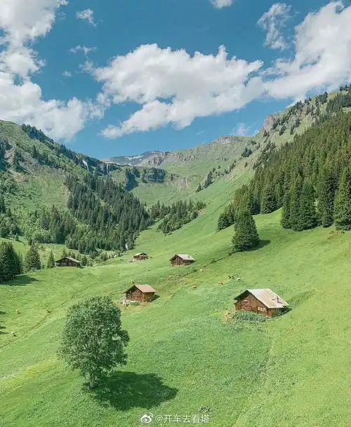 给几张好看的绿色电脑壁纸啊
