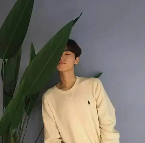 头像壁纸以我为梦,渡你一生