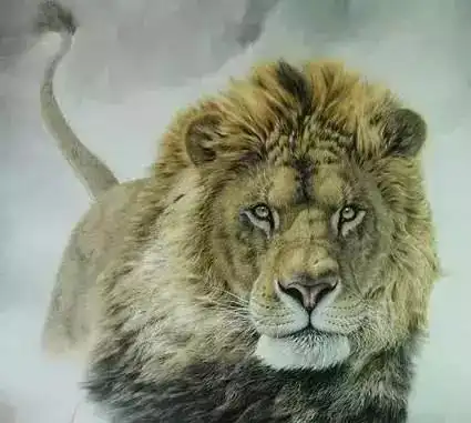 神准你的常用头像已经暴露了你的性格
