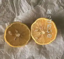 背景图不要吹牛b感觉像在给牛口
