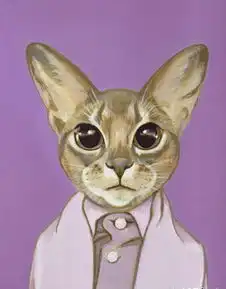 猫国街拍喵星人的时装秀

