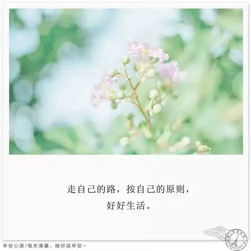 朋友圈早安心语正能量短句
