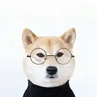 好看的柴犬头像图片微信头像图片大全
