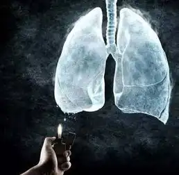 这三个女人,毁了很多哈尔滨男人
