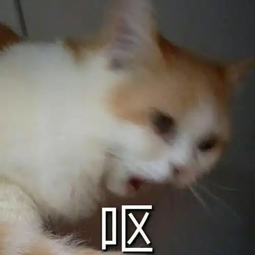 王力宏,绝世渣男
