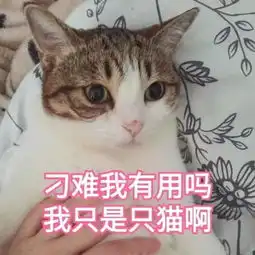 这个节目到底手握多少男主剧本啊
