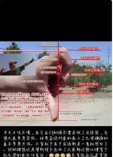 无架弹弓和有架弹弓哪个更厉害
