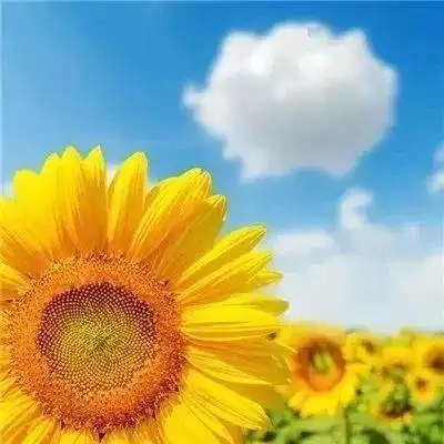 每一天醒来,都是新的起点
