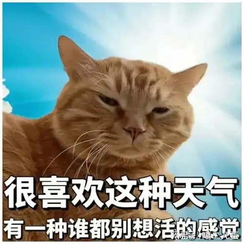 明日入伏气温狂飙,高温天气注意这些
