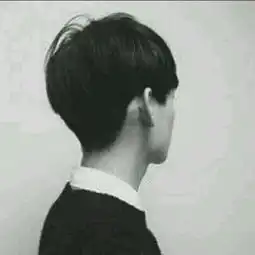 这个头像是情侣的吗