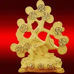 金秀风水八字财旺的十大特征
