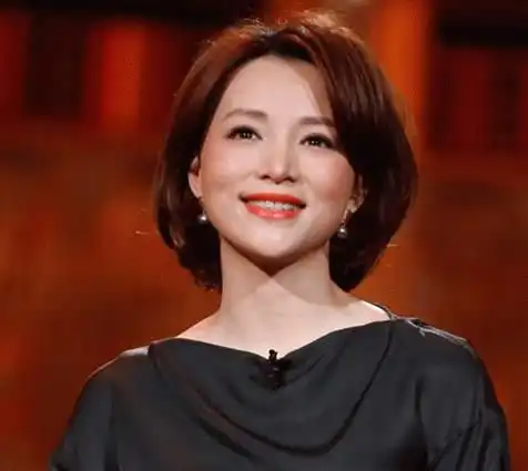 组图董卿早年青涩旧照曝光短发圆脸略带婴儿肥气质清纯
