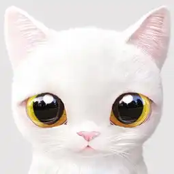 情侣头像小猫一左一右