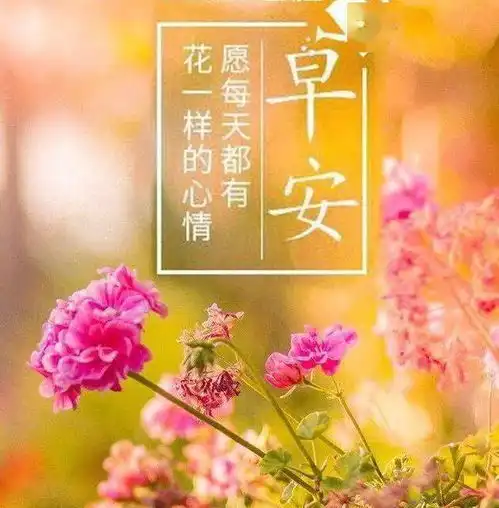 微信朋友圈早安正能量语早安心语哲理的句子
