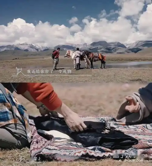 晋江都没有的cp香港绅士与藏族少年,谢霆锋和丁真文艺片主角
